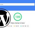 افزایش سرعت وردپرس در Google PageSpeed Insights