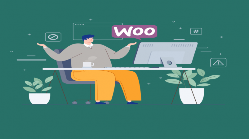 مشکل آپدیت افزونه وردپرس